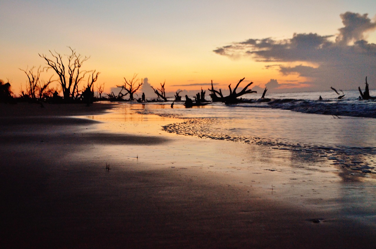 Sunrise, atlantic, ocean, beach, sun, water, landscape, coast, clouds, nature, summer, travel, vacations, wave, blue, south carolina, usa, south carolina, south carolina, south carolina, south carolin