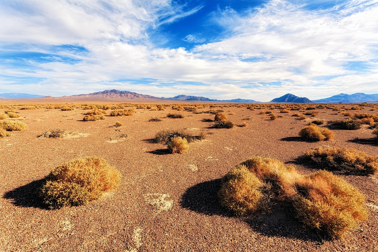 Nevada, usa, nature, landscape, desert, heaven, dry, steppe, clouds