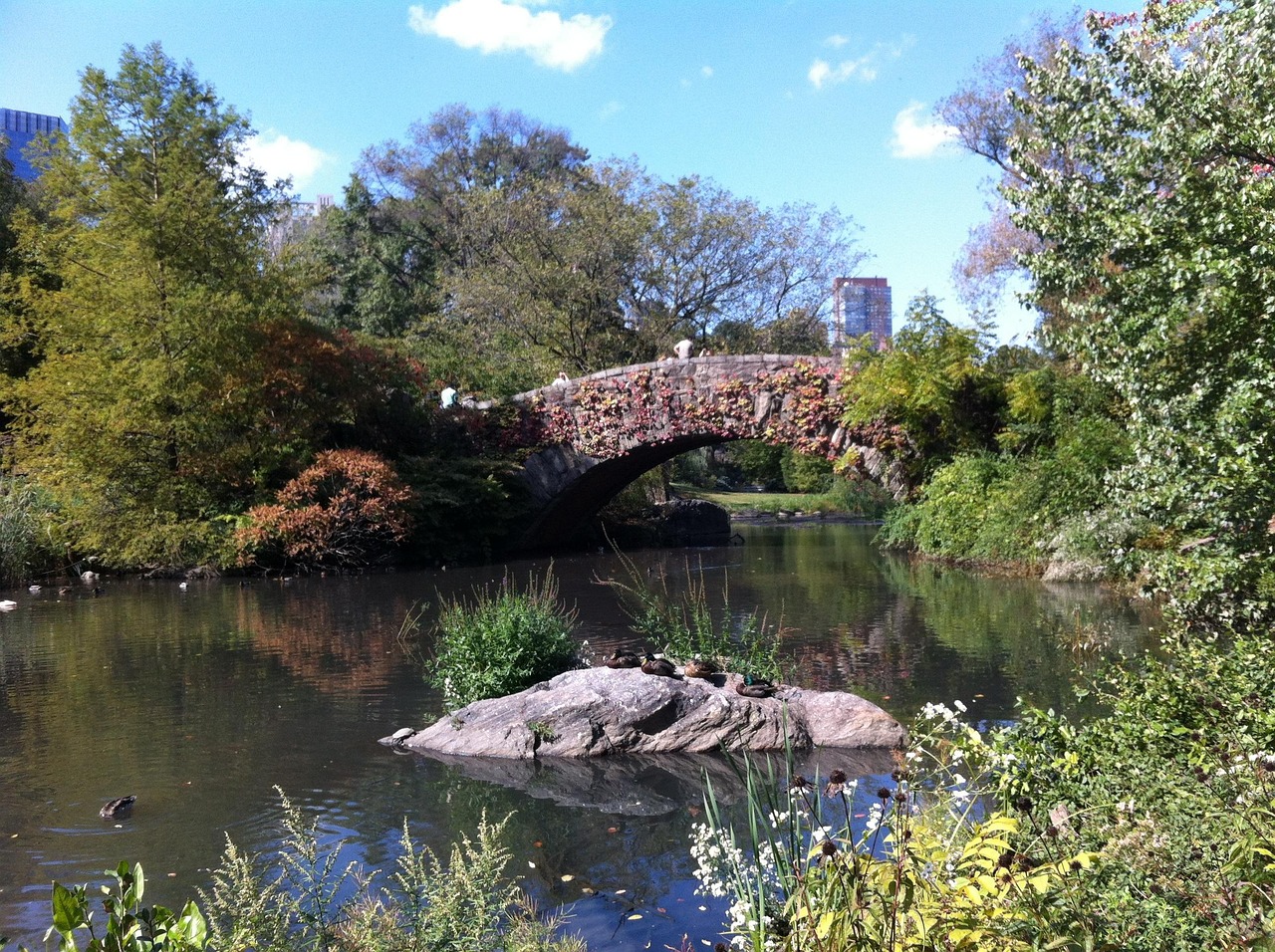 Central park, new york, bridge, water, nature, quiet, new york city, nyc, city, usa, america, cities, park, united states, ny, central park, central park, central park, central park, central park, Uni