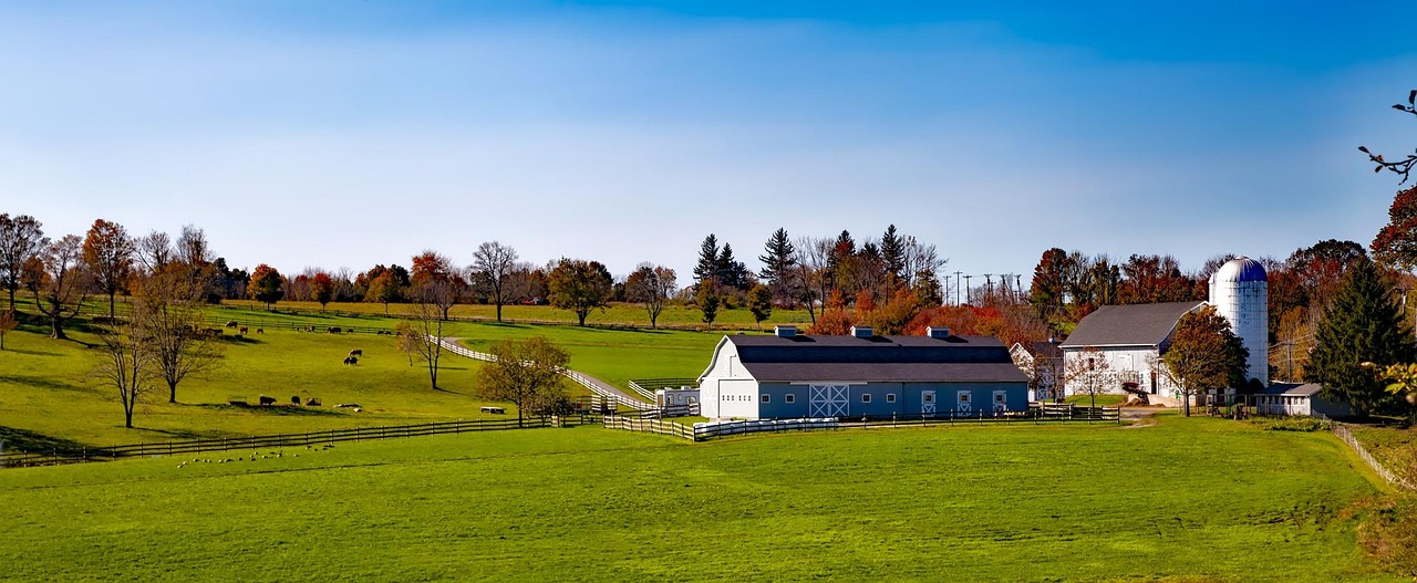 Connecticut, fall, autumn, foliage, trees, hills, colorful, landscape, farm, panorama, barn, meadow, field, cattle, nature, outdoors, country, countryside, rural, sky, clouds, hdr, connecticut, connec