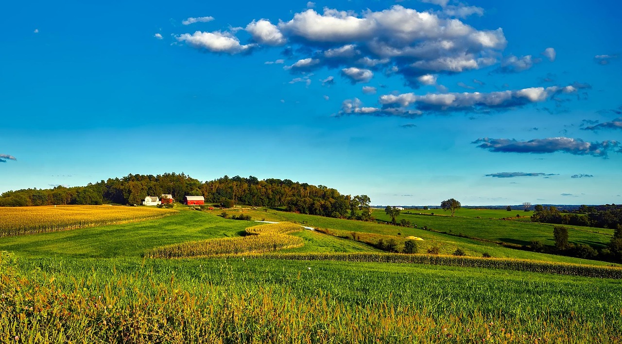 Wisconsin, landscape, scenic, nature, outside, outdoors, country, rural, summer, sky, clouds, farm, agriculture, meadow, field, crop, hdr, panorama, corn, barn, hills, forest, trees, woods, blue fores
