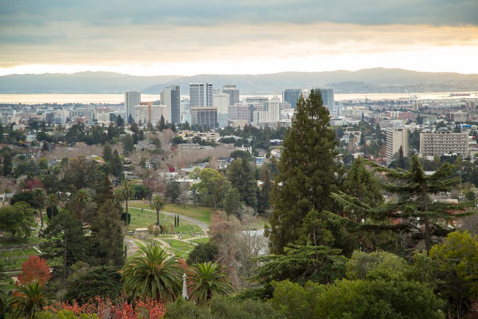 View of Oakland skyline with lush greenery and bay in the background showcasing urban nature harmony.