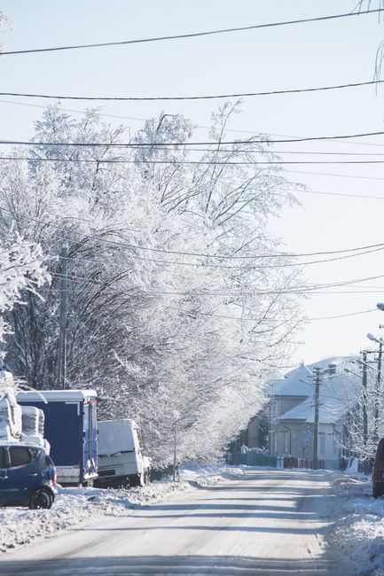 A serene winter urban scene with frosted trees and vehicles on a snowy street.