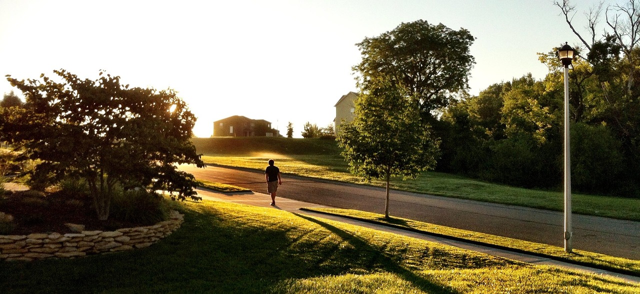People, man, walking, alone, sunlight, nature, sunny, sunrise, sunset, shadow, shade, trees, green, grass, plant, United States, Kansas, Olathe