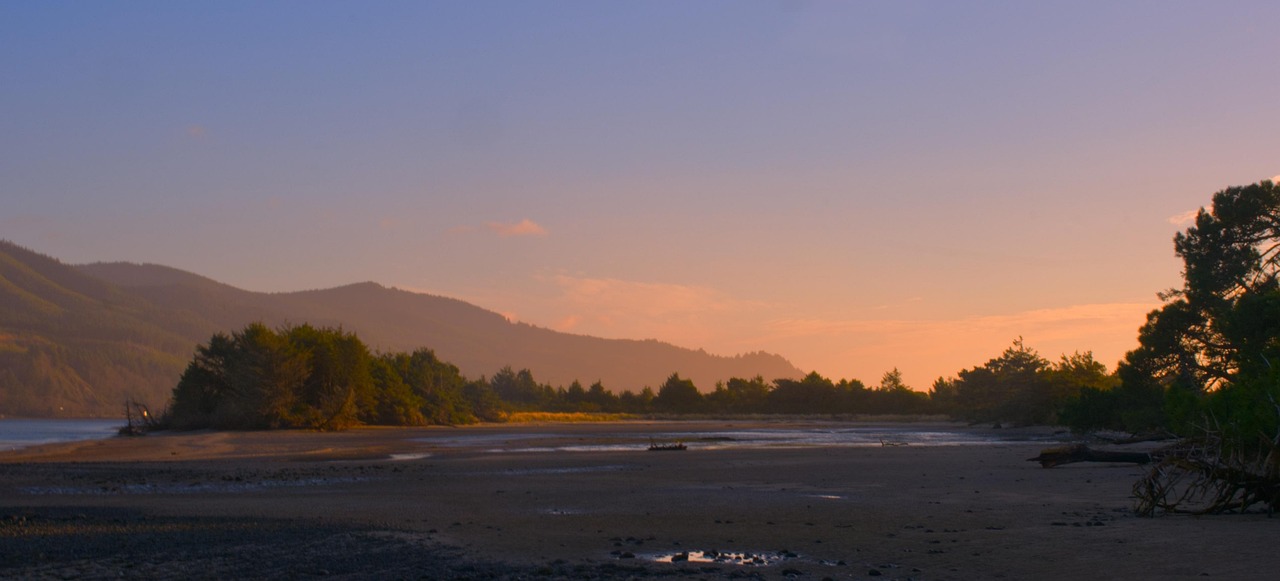 Coast, mountains, dusk, golden hour, sunset, sunlight, evening, seaside, sea, fog, mist, trees, landscape, atmosphere, mood, scenic, nature, oregon, oregon coast, oregon coast highway, pacific northwe