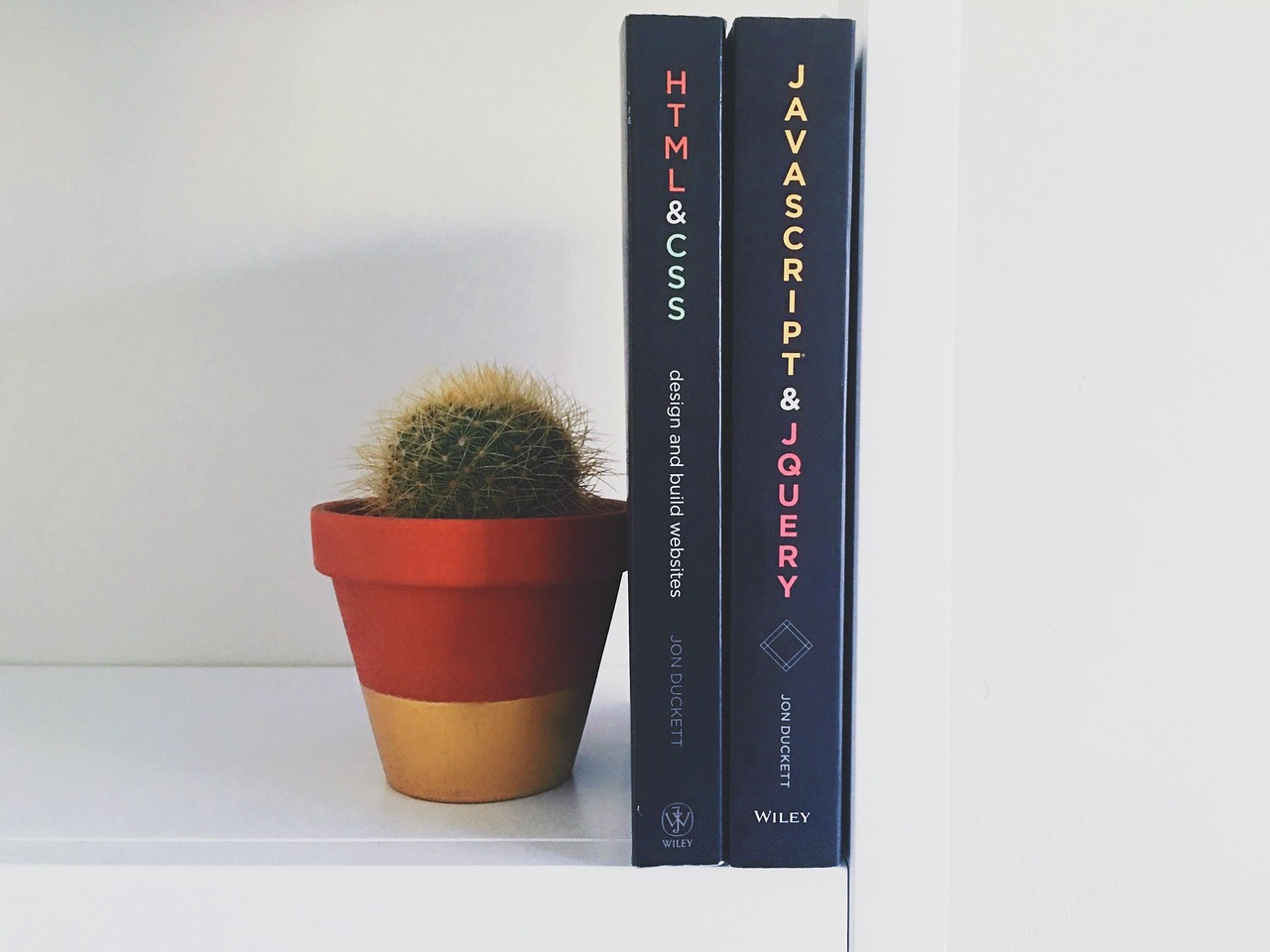 Books, nature, cactus, knowledge, plant, pot plant, United States, Orem, Utah