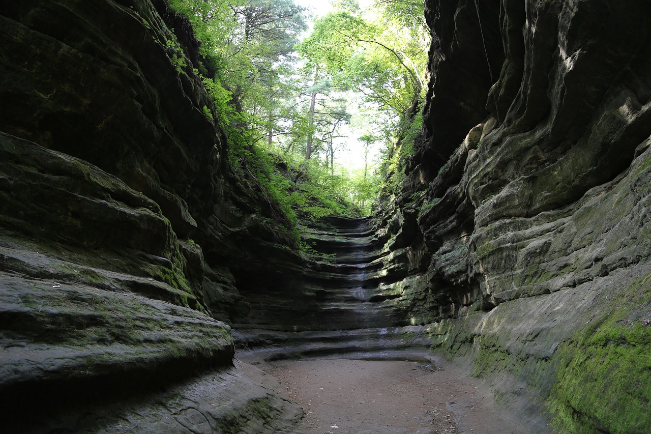 Library card to, state park, nature, tourism, scenery, mountain, mountain range, landscape, gorge, oglesby, illinois, united states of america, starved rock state park