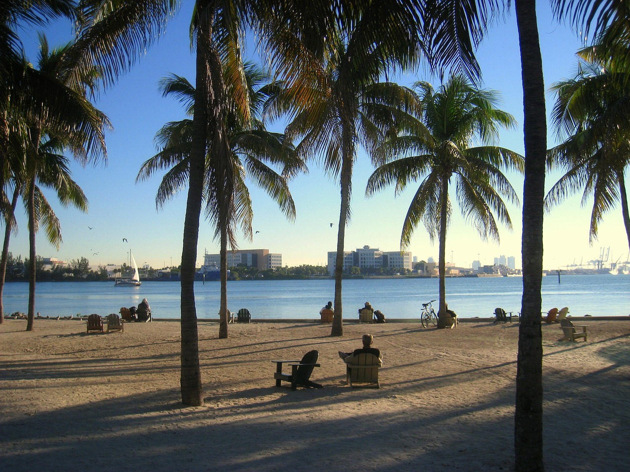 Miami, florida, ocean, beach, skyline, water, palm trees, palms, palm tree, palm, sunny, sky, tropical, nature, sea, tropics, vacation, sand, scenic, miami, miami, miami, miami, miami