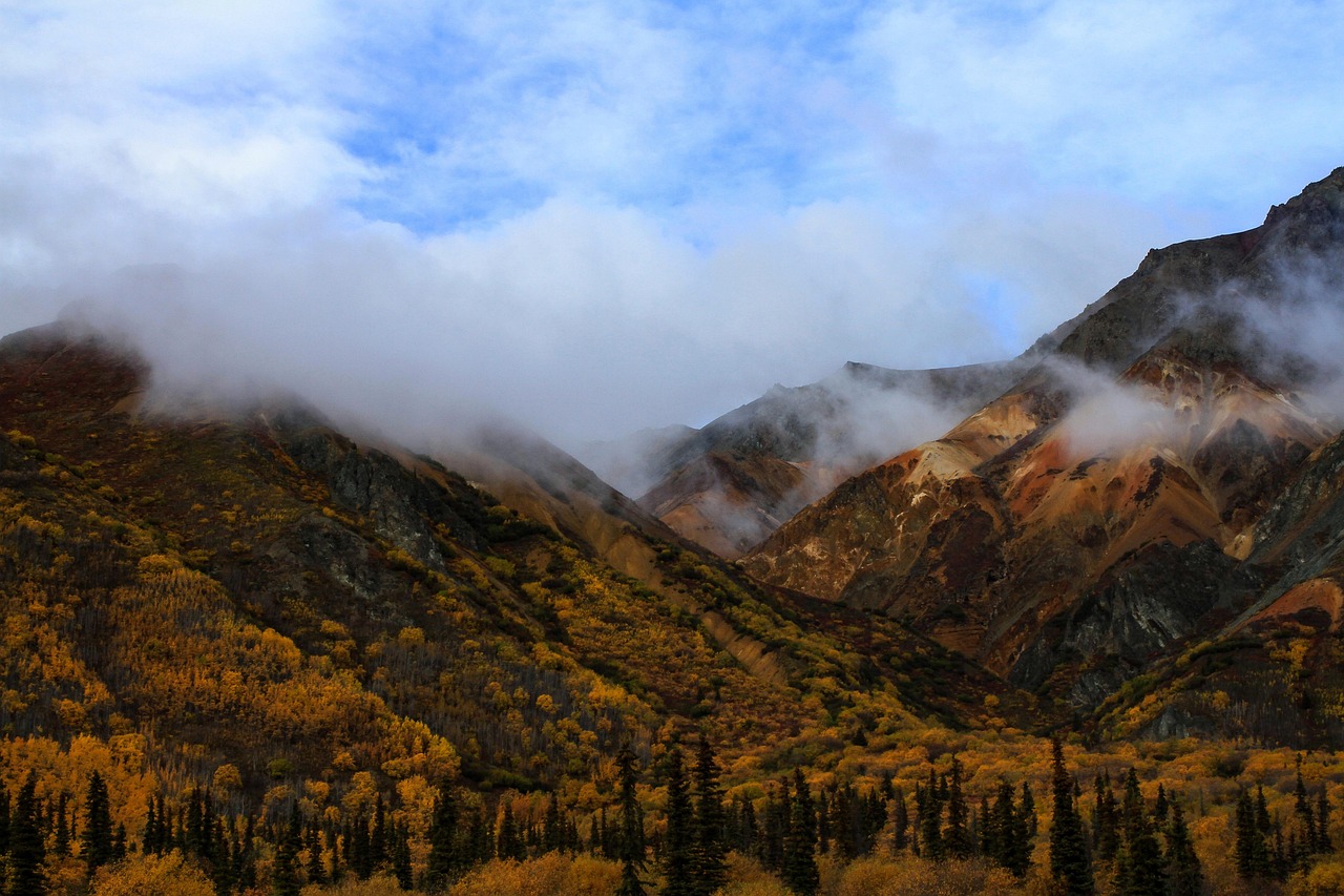 Alaska, fall, autumn, sheep mountain, palmer, misty, landscape, clouds, wilderness, nature, trees, countryside, scenic, mountain, colorful, forest, brown mountain