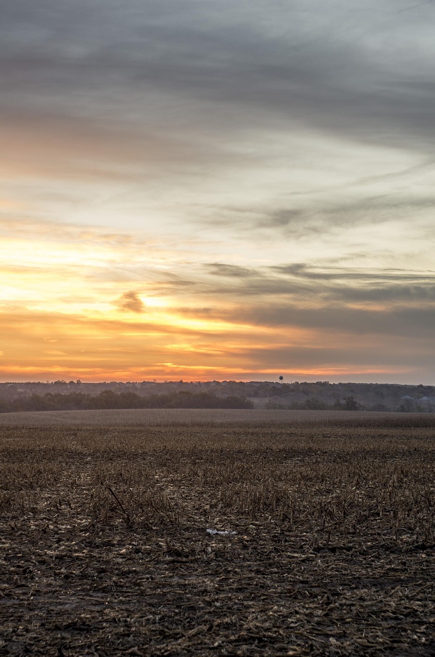 Nebraska, sunrise, landscape, dawn, morning, field, sky, light, nature, farm, agriculture, agricultural, scenic, travel, nebraska, nebraska, nebraska, nebraska, nebraska