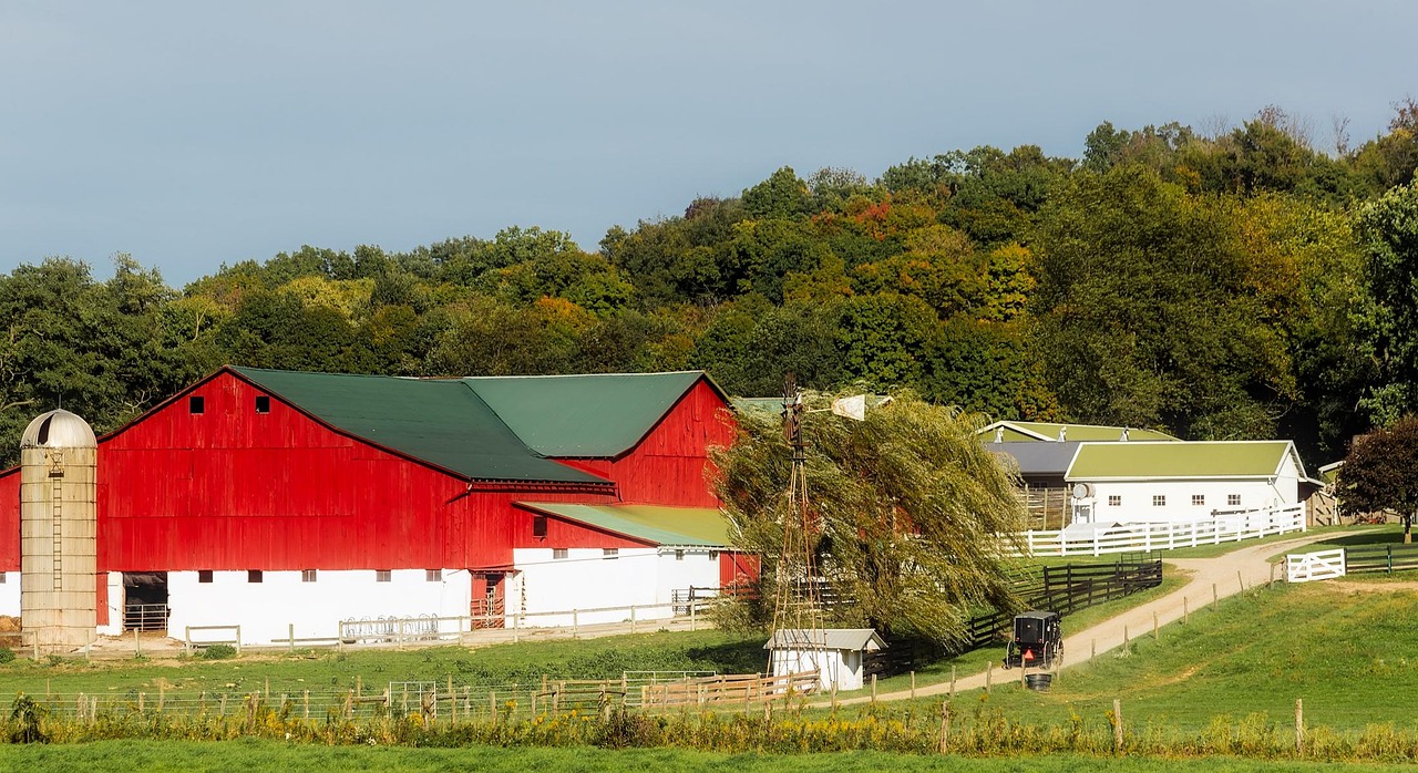 Ohio, farm, red, barn, buildings, house, home, silo, panorama, landscape, scenic, buggy, horse, lane, fields, meadow, nature, outdoors, country, countryside, rural, forest, trees, woods, amish, agricu