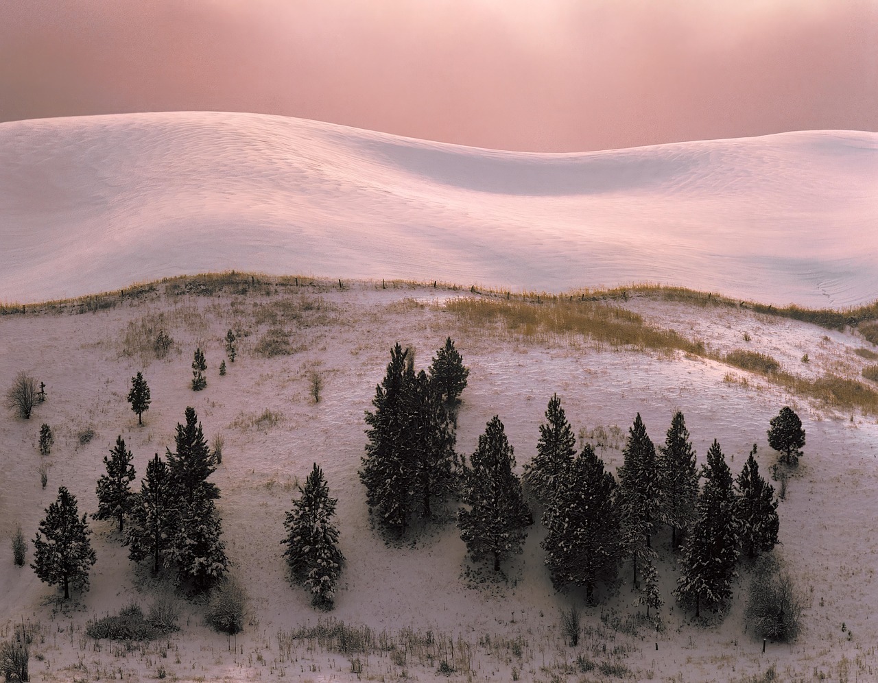 Winter, trees, snow, hills, eastern washington, inland northwest, morning, cold, nature, landscape
