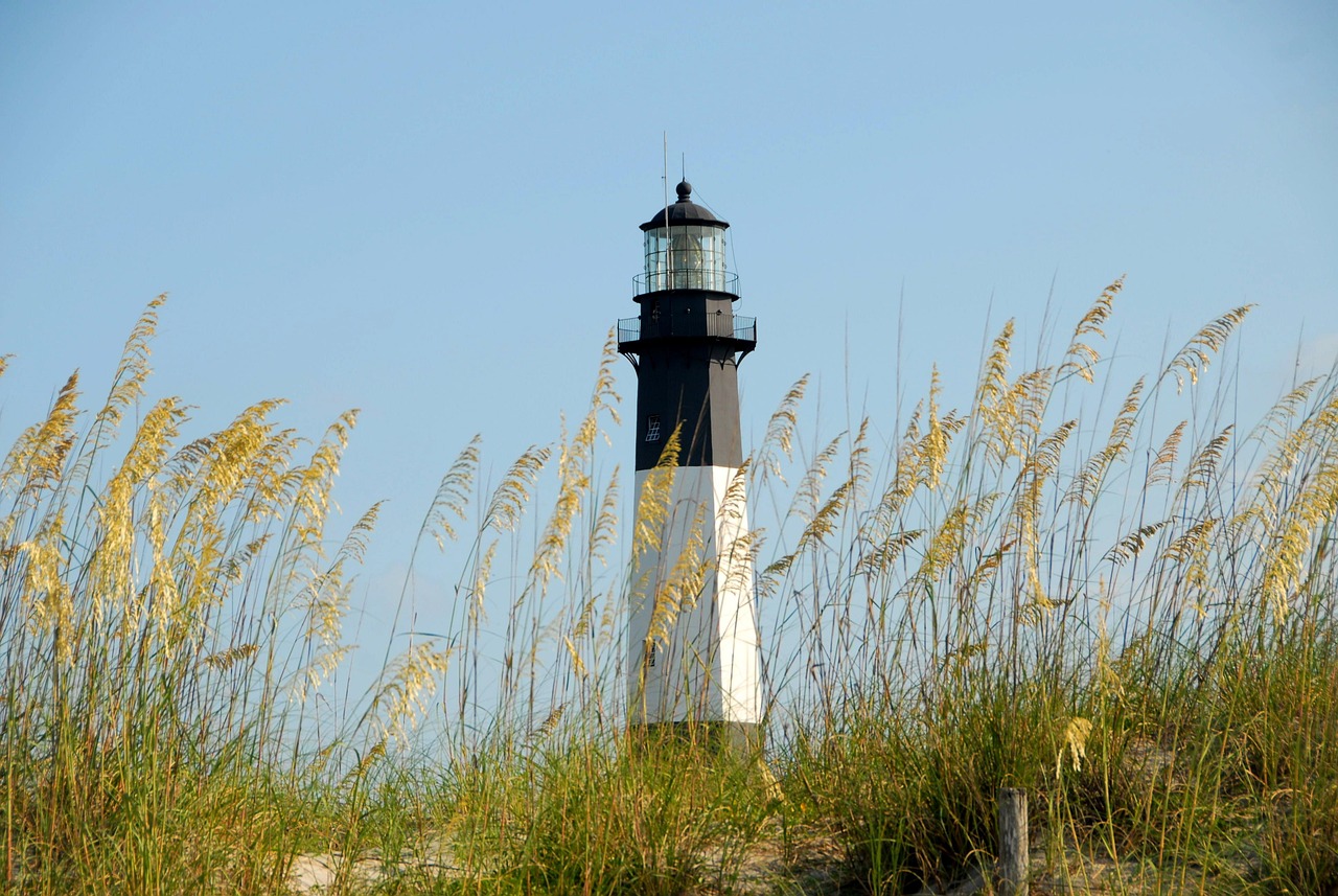 Lighthouse, meadow, tybee island, georgia, nature, landscape, coast, landmark, tybee island, tybee island, tybee island, tybee island, tybee island