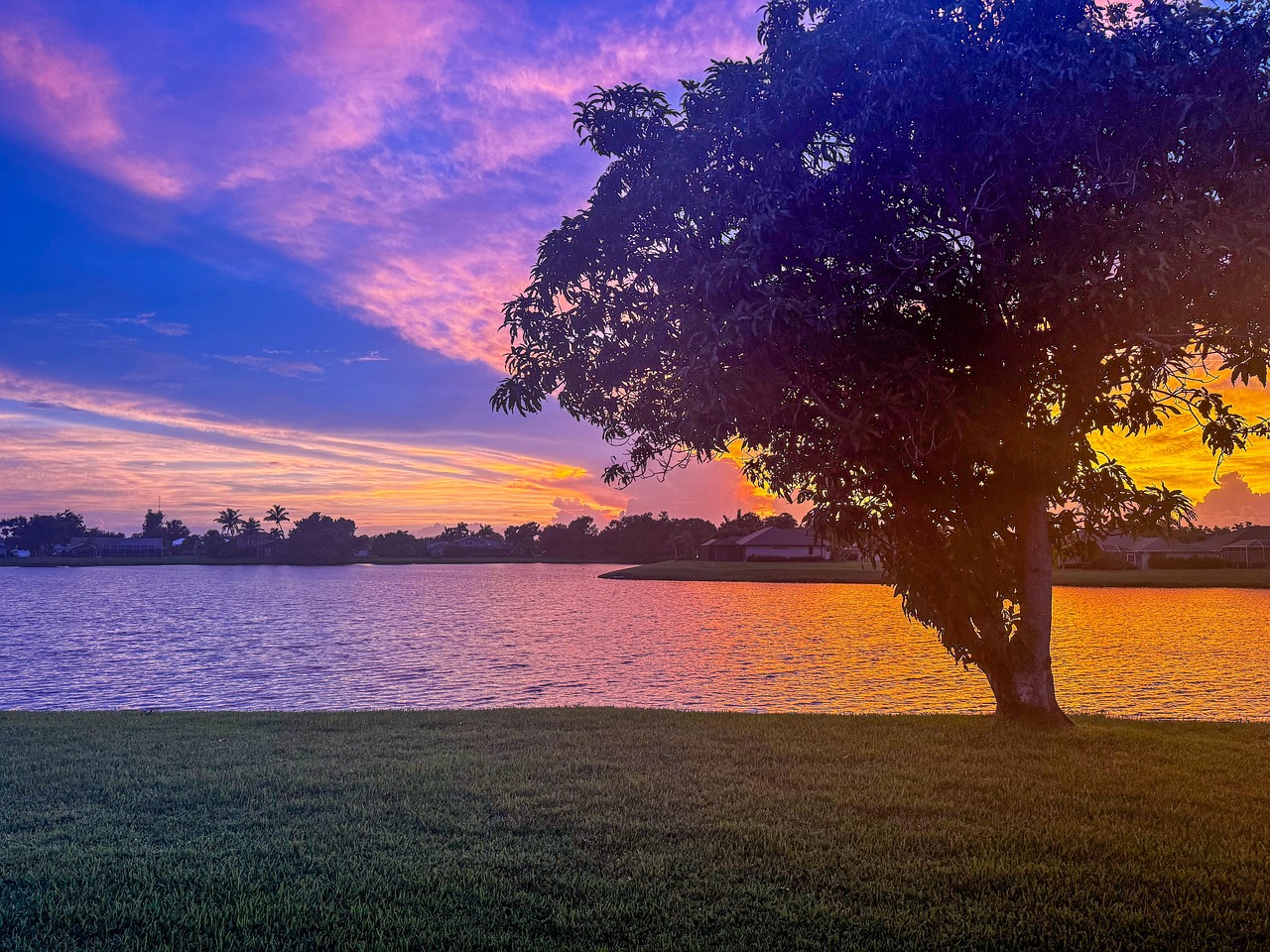 Tree, lake, sunset, reflection, water, nature, landscape, United States, Florida, Harbour Heights