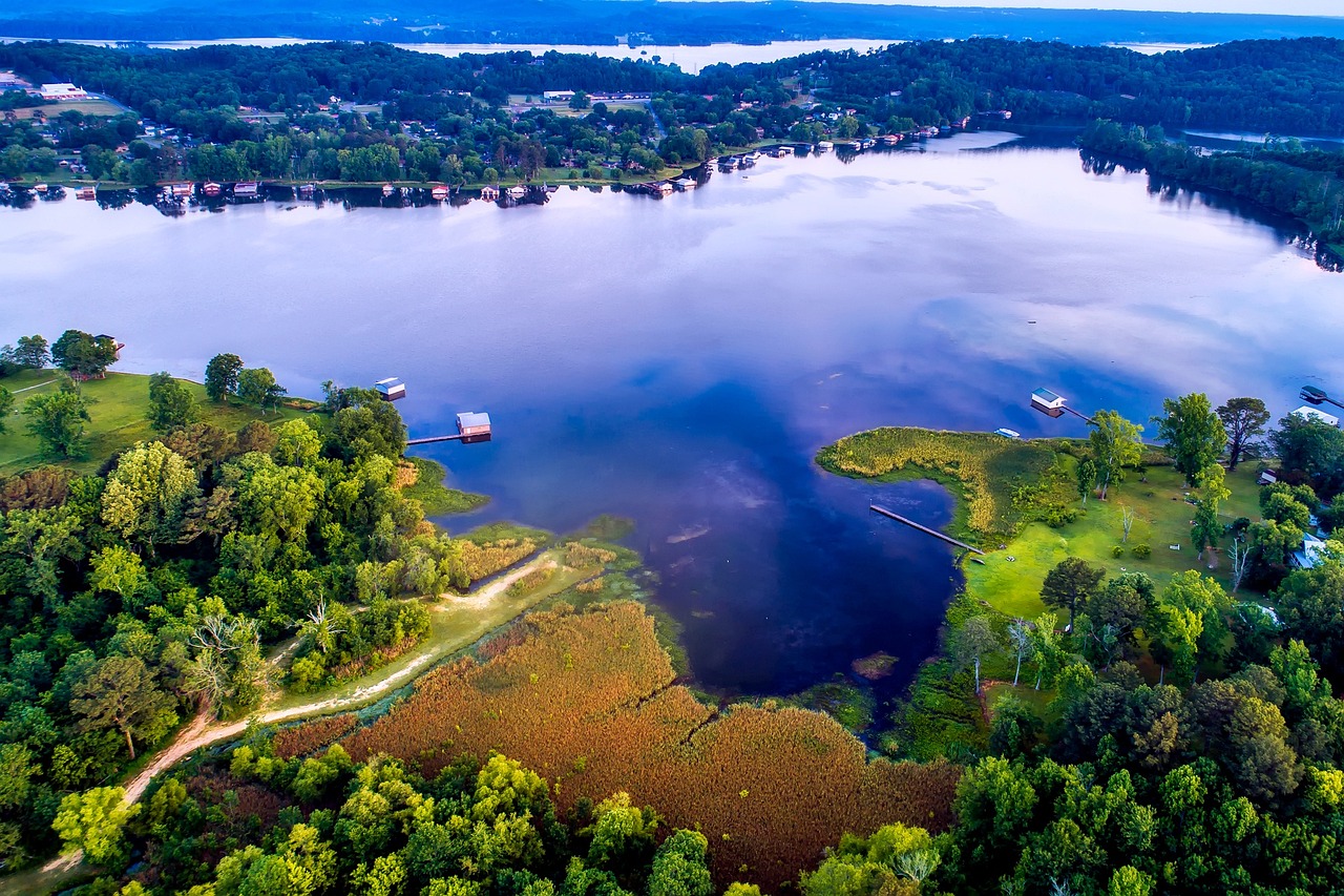 Lake guntersville, nature, alabama, water, reflections, aerial view, landscape, forest, trees, woods, tourism, summer, country, countryside, rural, hdr, blue forest