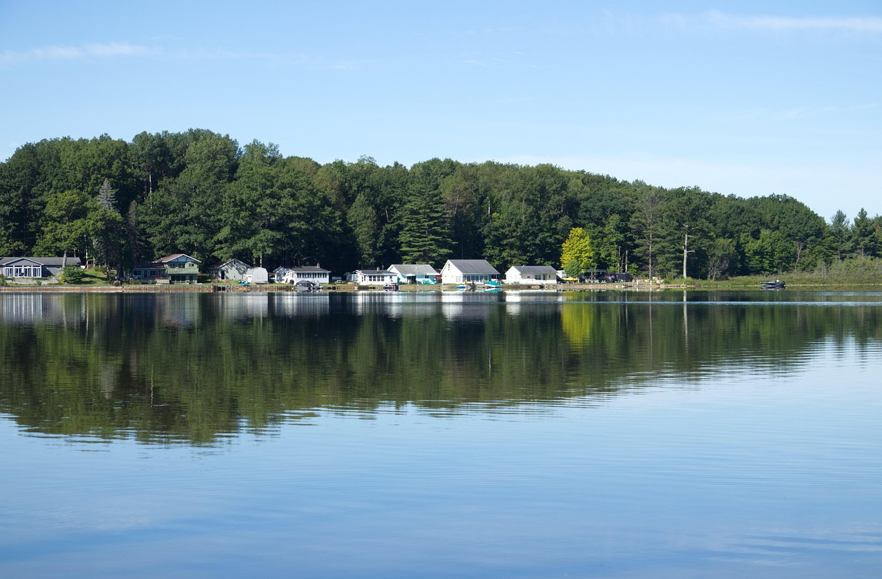 Lake, michigan, forest, trees, houses, nature, scenery, landscape