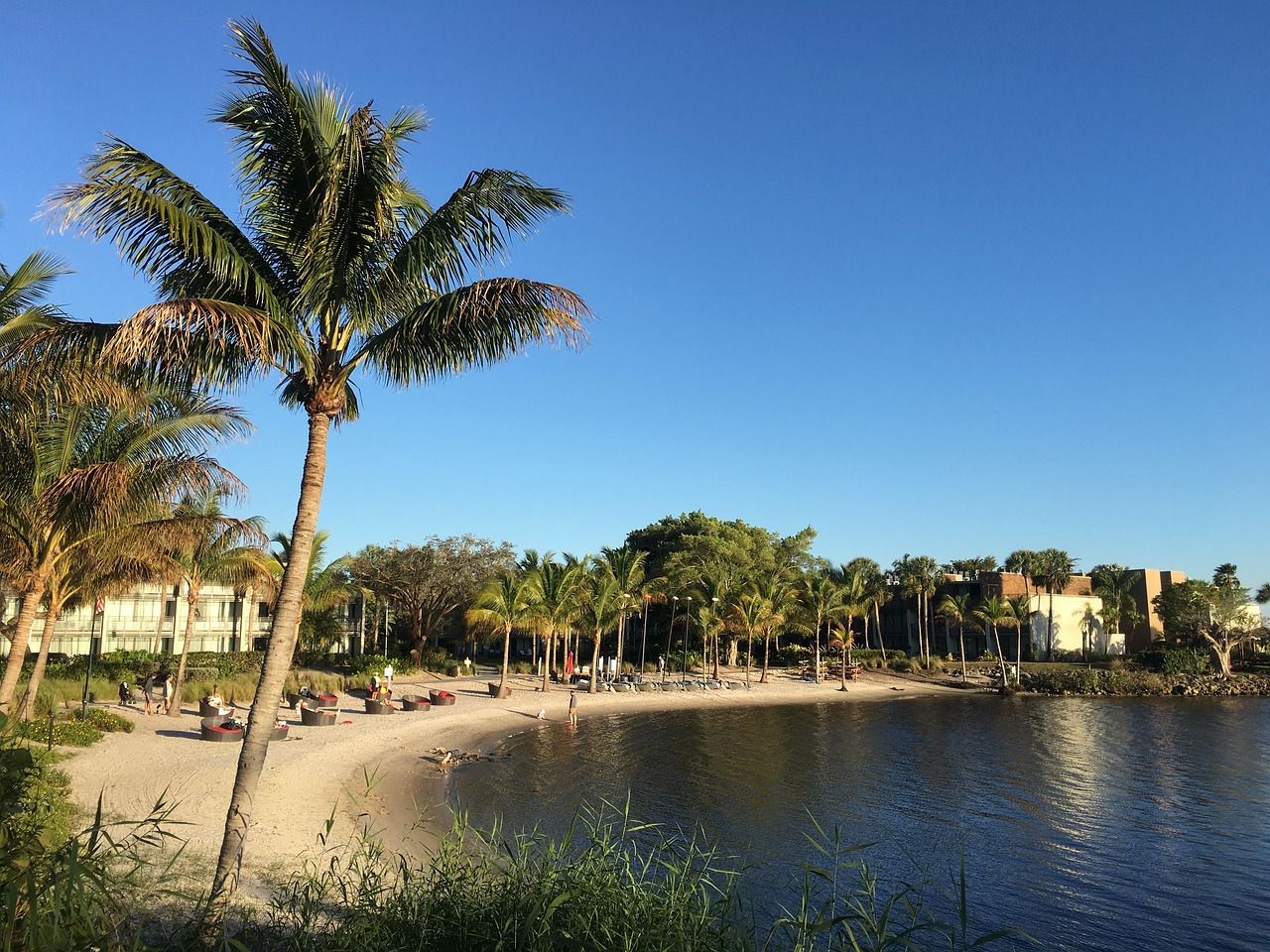 Club med, sandpiper bay, beach, river, palm tree, coast, travel, water, tropical, sand, nature, sky, landscape, blue, resort, tourism, vacation, trip, seascape, blue sky, sunny, outdoor, holiday, sun,