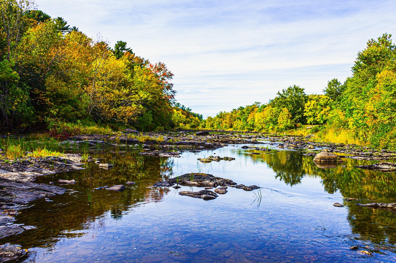 River, forest, woods, landscape, nature, maine, river, maine, maine, maine, maine, maine