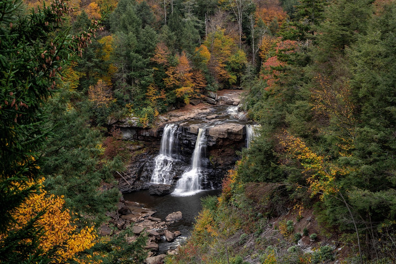 Blackwater falls, waterfall, blackwater falls state park, forset, landscape, nature, west virginia, river, forset, forset, west virginia, west virginia, west virginia, west virginia, west virginia