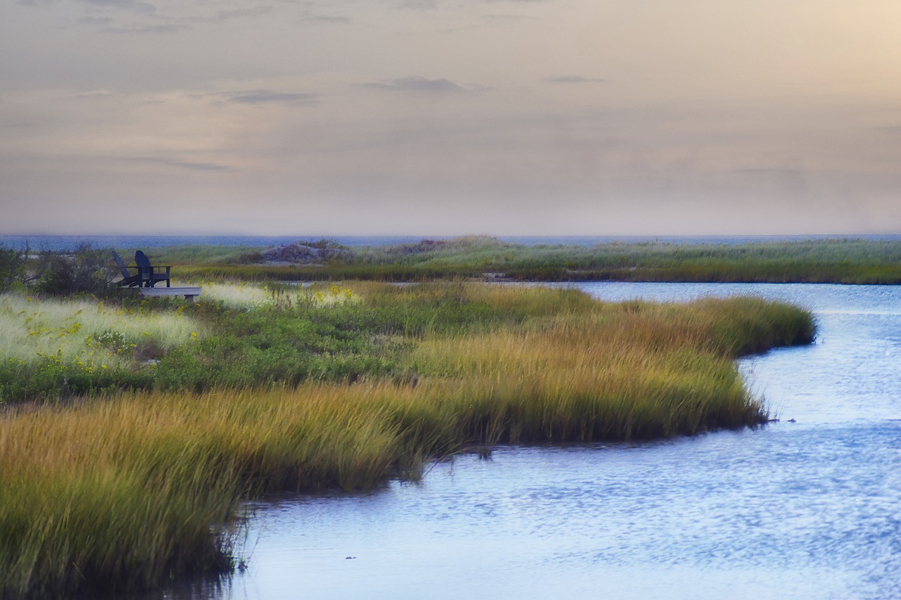 Marthas vineyard, massachusetts, horizon, landscape, water, scenic, nature, summer, island, marthas vineyard, marthas vineyard, marthas vineyard, marthas vineyard, marthas vineyard, massachusetts, mas