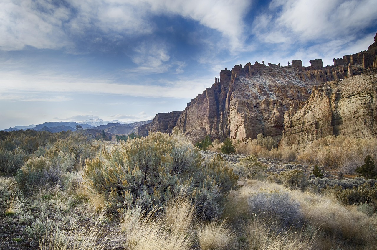 Mountains, meadow, grass, sagebrush, mountain range, landscape, scenic, scenery, countryside, nature, yellowstone national park, wyoming, usa, america, sagebrush, sagebrush, wyoming, wyoming, wyoming,