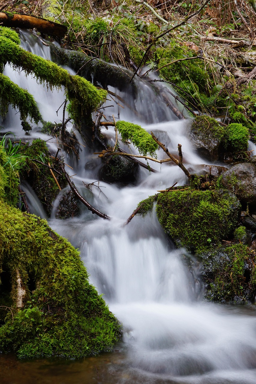 Waterfall, columbia river gorge, washington state, spring, moss, river, nature, landscape