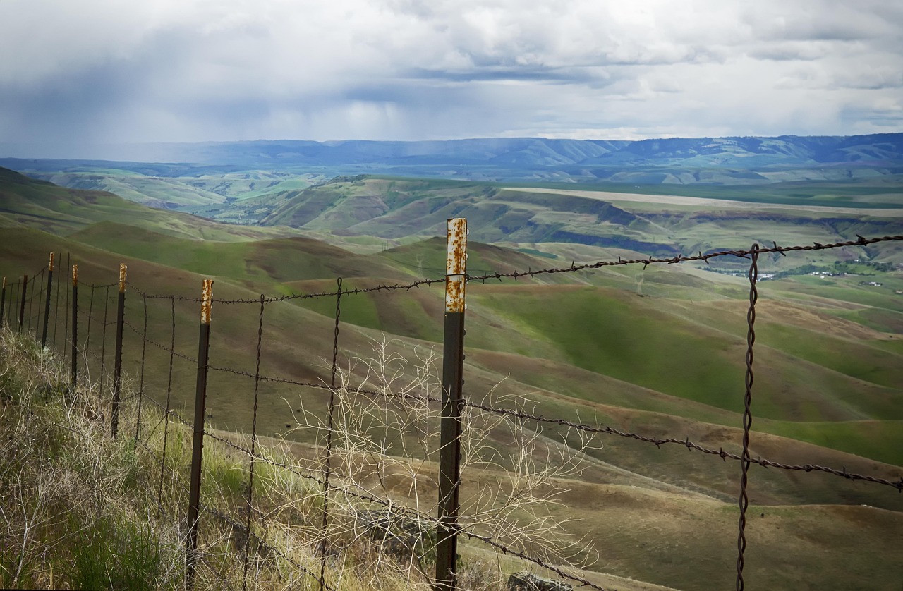 Barbed wire, metal fence posts, t-posts, fencing, weathered, idaho, usa, america, landscape, lewiston idaho, rolling hills, storm clouds, tumble weed, idaho, lewiston idaho, rolling hills, tumble weed