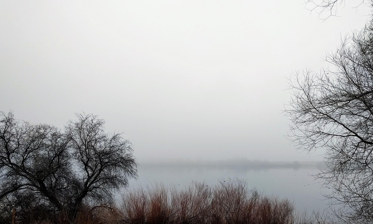 Fog, mist, winter, morning, United States, Washington, Richland