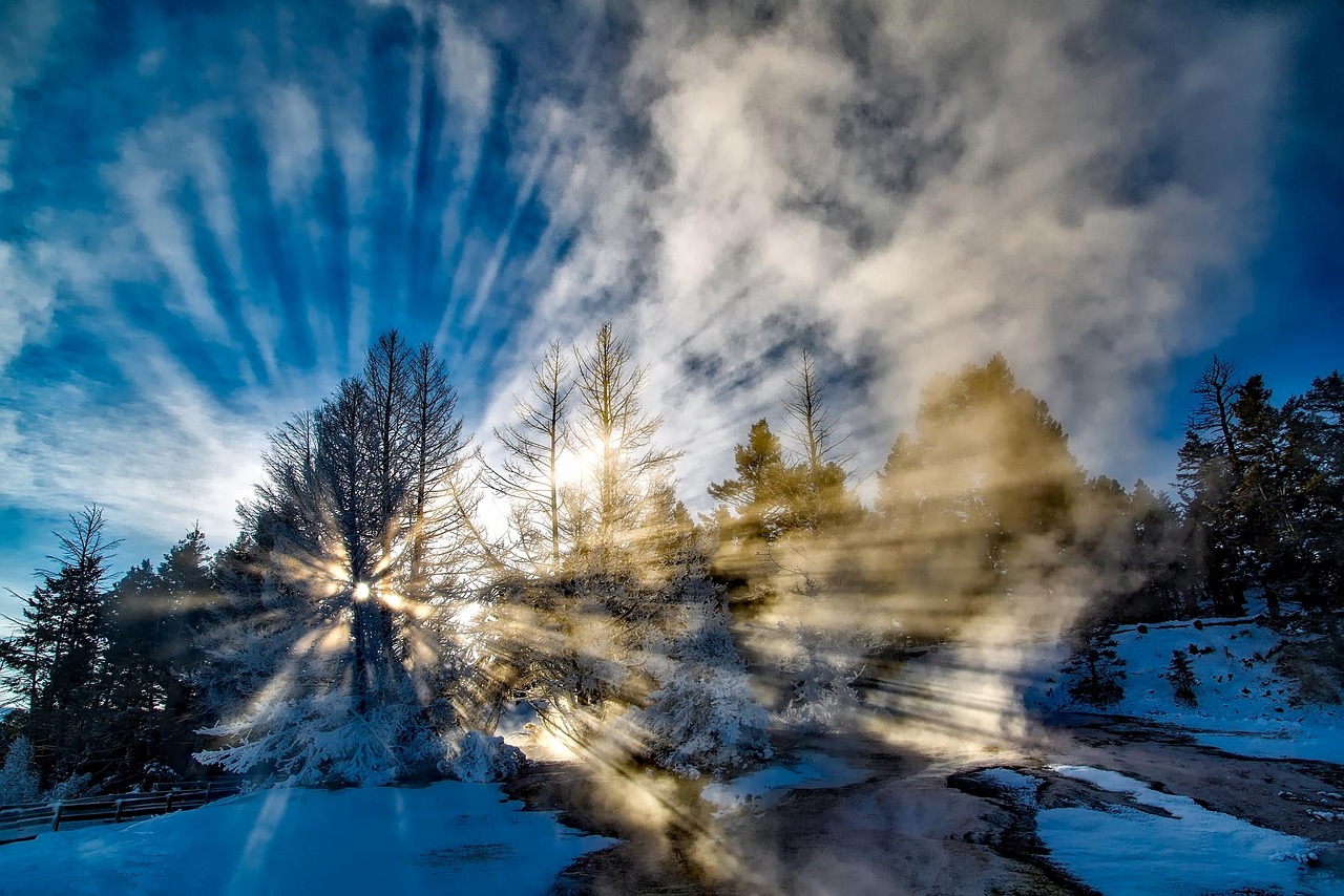 Sunlight, fog, winter, sun rays, sunbeams, snow, forest, trees, mist, sunset, sunrise, woods, landscape, nature, yellowstone national park, yellowstone, wyoming, winter, winter, winter, winter, winter
