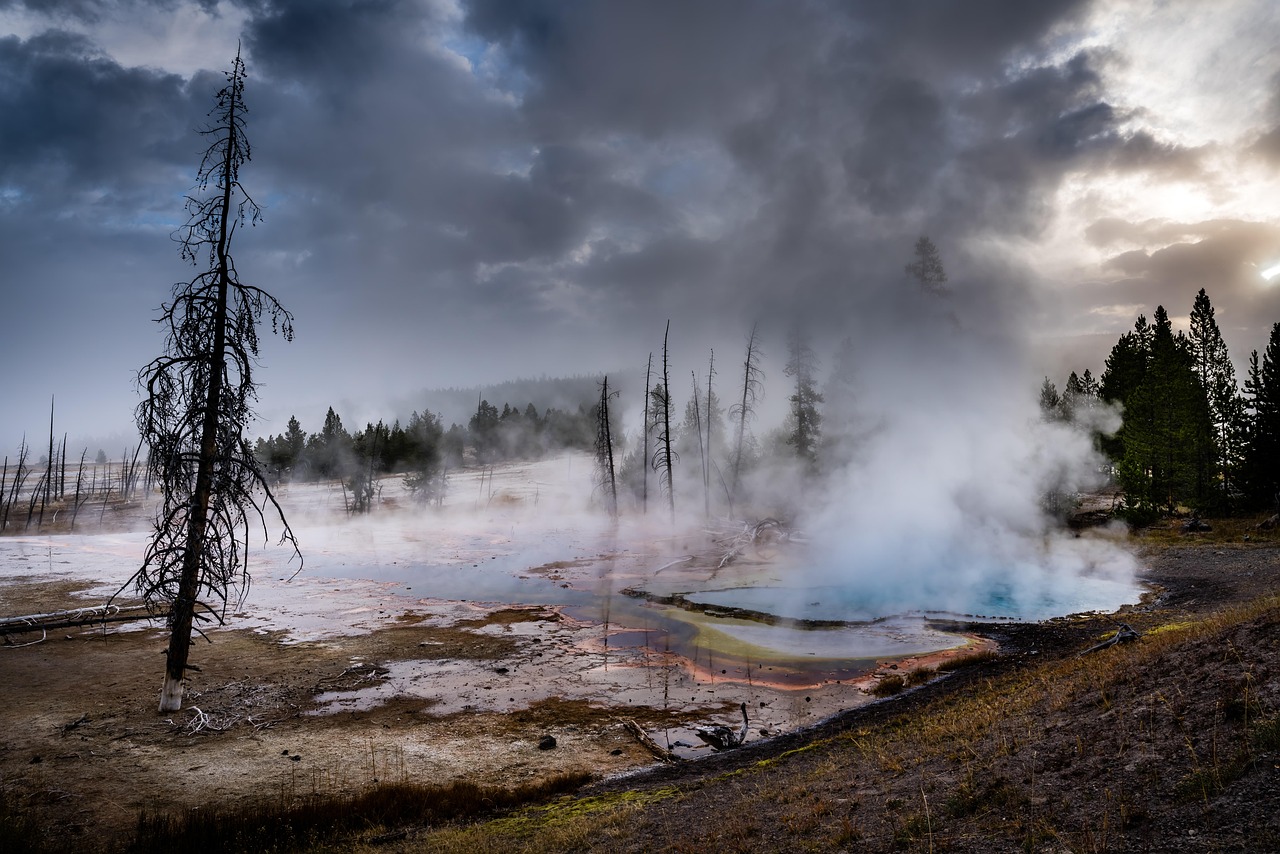 Geyser, yellowstone, wyoming, landscape, nature, hot, water, geothermal, scenic, volcanic, trees, spring, cloudy, moody, steam