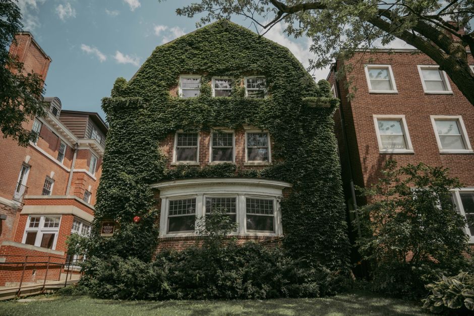 Picturesque ivy-covered house in Chicago's suburban neighborhood, surrounded by greenery.