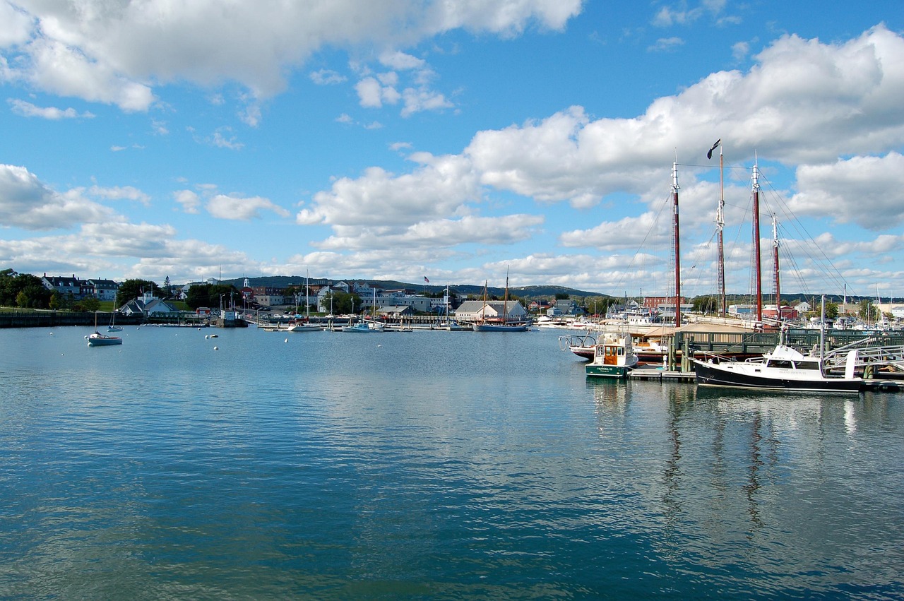 Rockland harbor, harbor, boats, sailboats, port, nature, bay, sea, rockland, maine