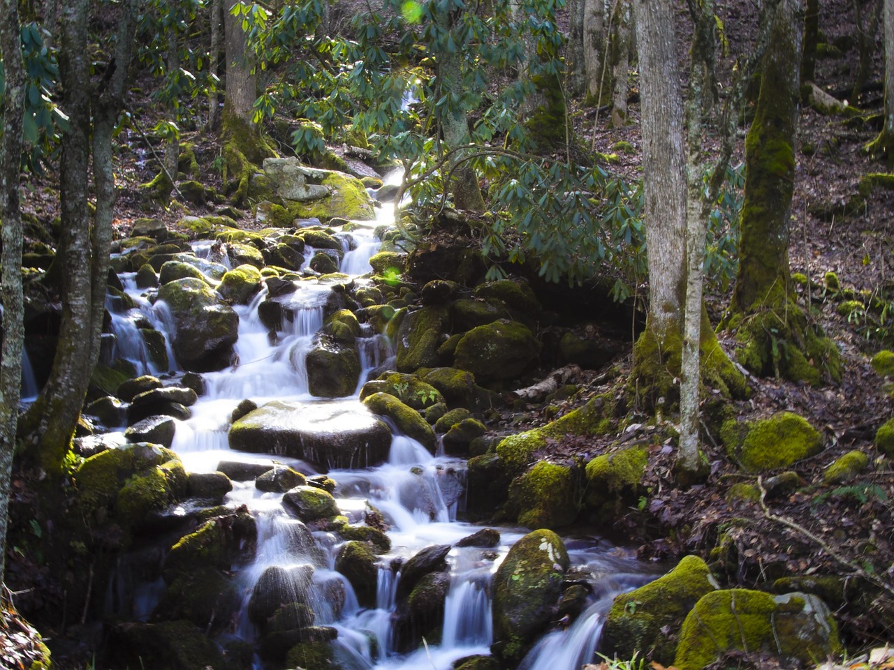 Smokey, nature, mountains, north carolina, river, creek