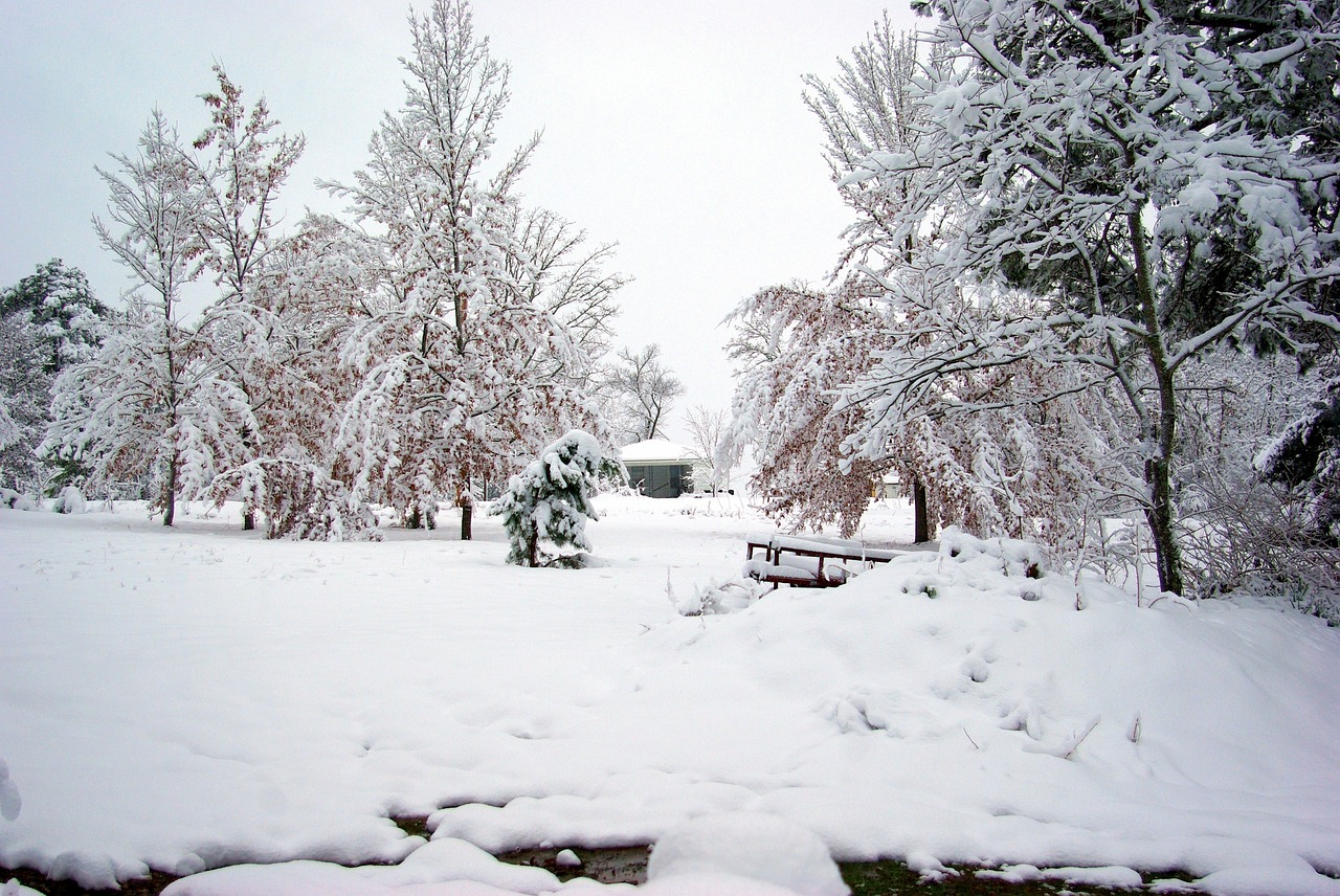 Winter in the ozarks, ozarks, arkansas, cold, winter, snow, nature, wintry, scenic, sky, landscape, trees, white, outdoors, ozarks, ozarks, arkansas, arkansas, arkansas, arkansas, arkansas