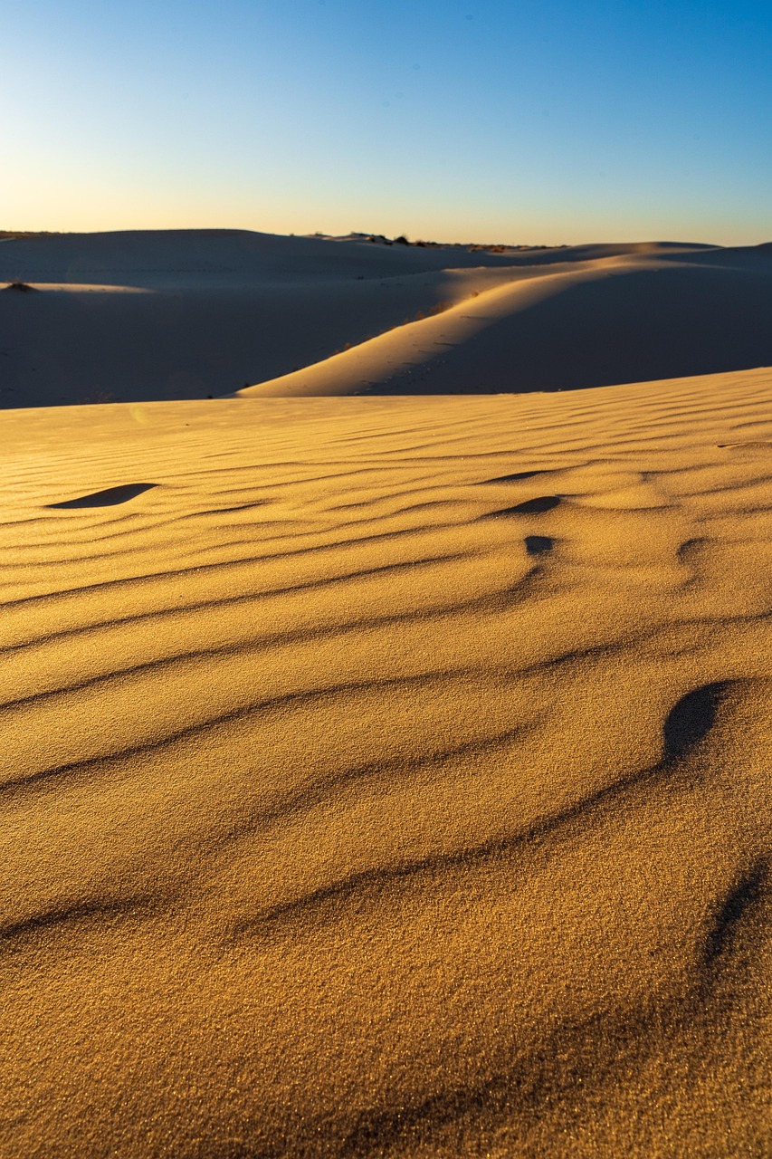 Desert, sand, dunes, sunset, nature, landscape, golden, texas, dusk, desert, desert, desert, desert, desert