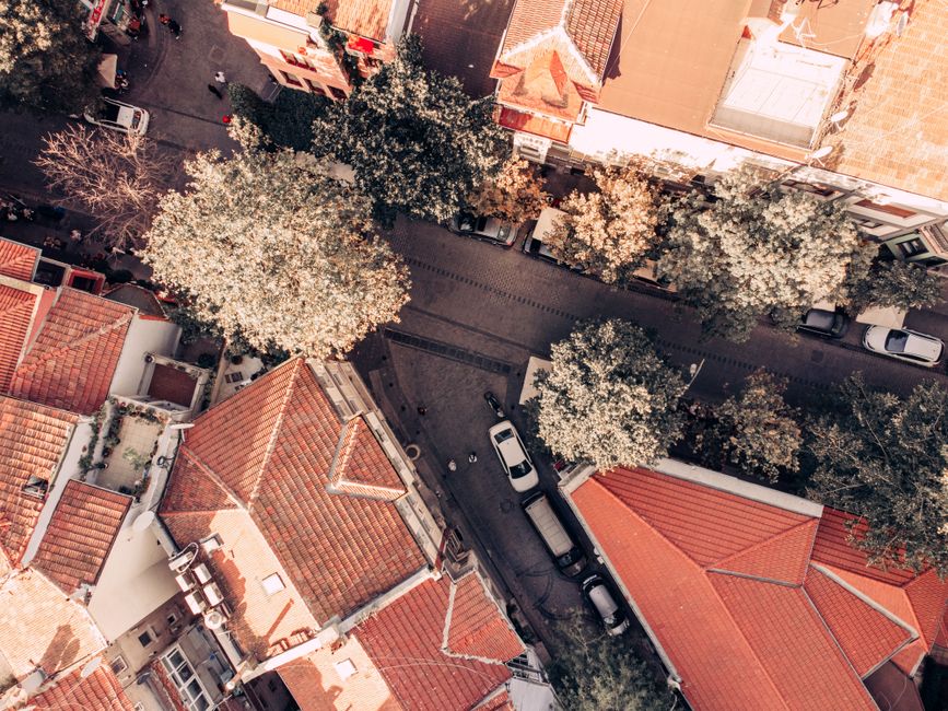 Aerial shot of urban streets with red-tiled rooftops and tree-lined sidewalks.