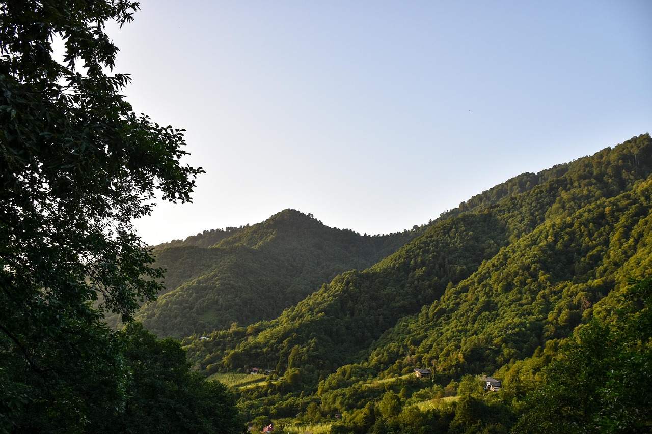 Mountains, georgia, nature, landscape, scenery