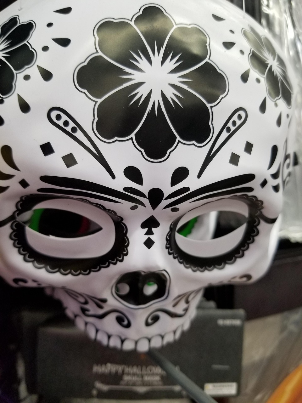 Halloween, decor, skull, top view, gray skull, United States, California, Santa Clarita