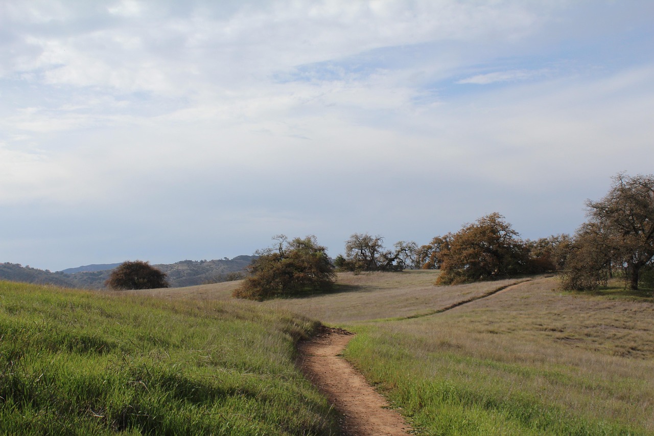 Santa rosa, nature, plateau, california, landscape, sky, dirt road, santa rosa plateau