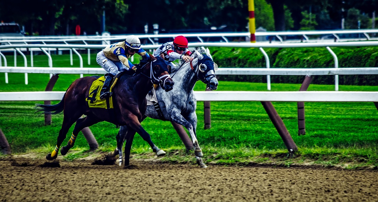 Saratoga springs, new york, horses, horse racing, sports, track, thoroughbreds, jockeys, neck and neck, close, dirt, excitement, finish, hdr, panorama, horse racing, horse racing, horse racing, horse