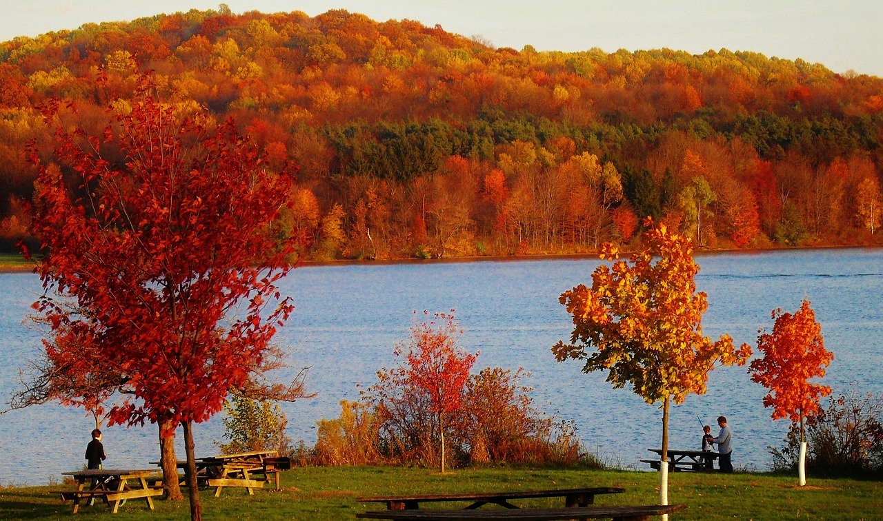 Pennsylvania, landscape, scenic, state park, forest, trees, woods, lake, water, reflections, foliage, fall, autumn, colorful, beautiful, grass, shoreline, nature, outside, country, countryside, brown
