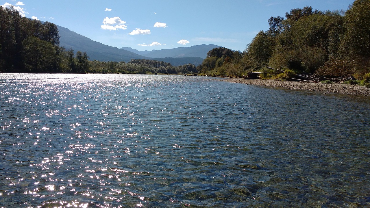 River, washington state, scenic, northwest, landscape, outdoors, water, mighty river, nature, washington state, washington state, washington state, washington state, washington state