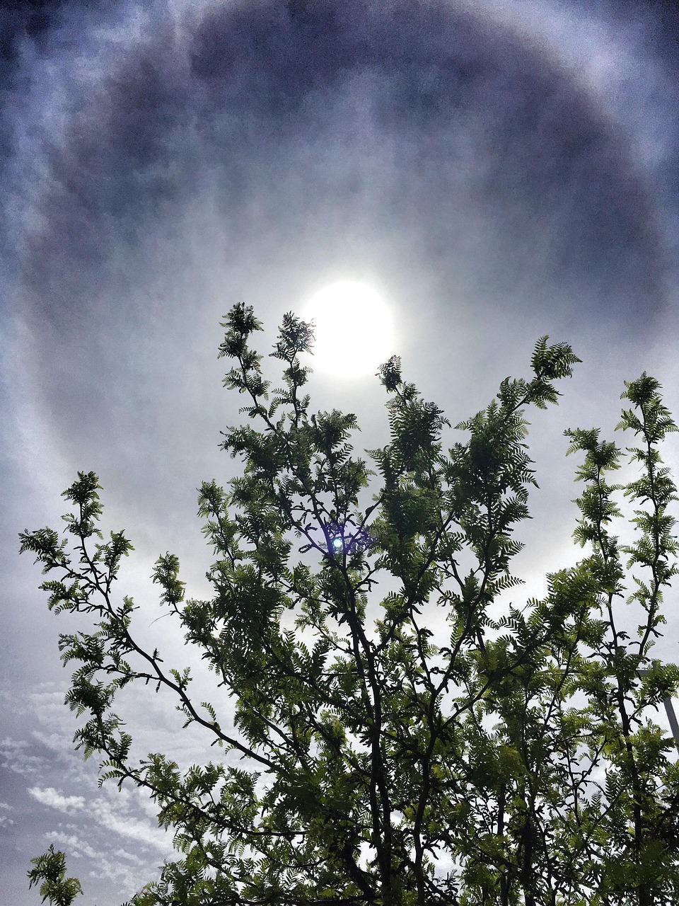 Sun, sky, nature, beauty, cloudscape, god, hope, prayer, joy, blue hope, blue god, blue prayer, United States, Arizona, Sierra Vista