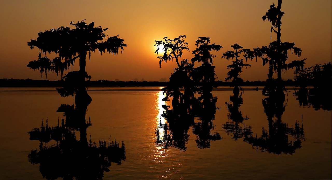 Sunset, louisiana, the water, sky, landscape, nature, summer, marsh, lake, dusk, travel, evening, bayou, bayou, bayou, bayou, bayou, bayou
