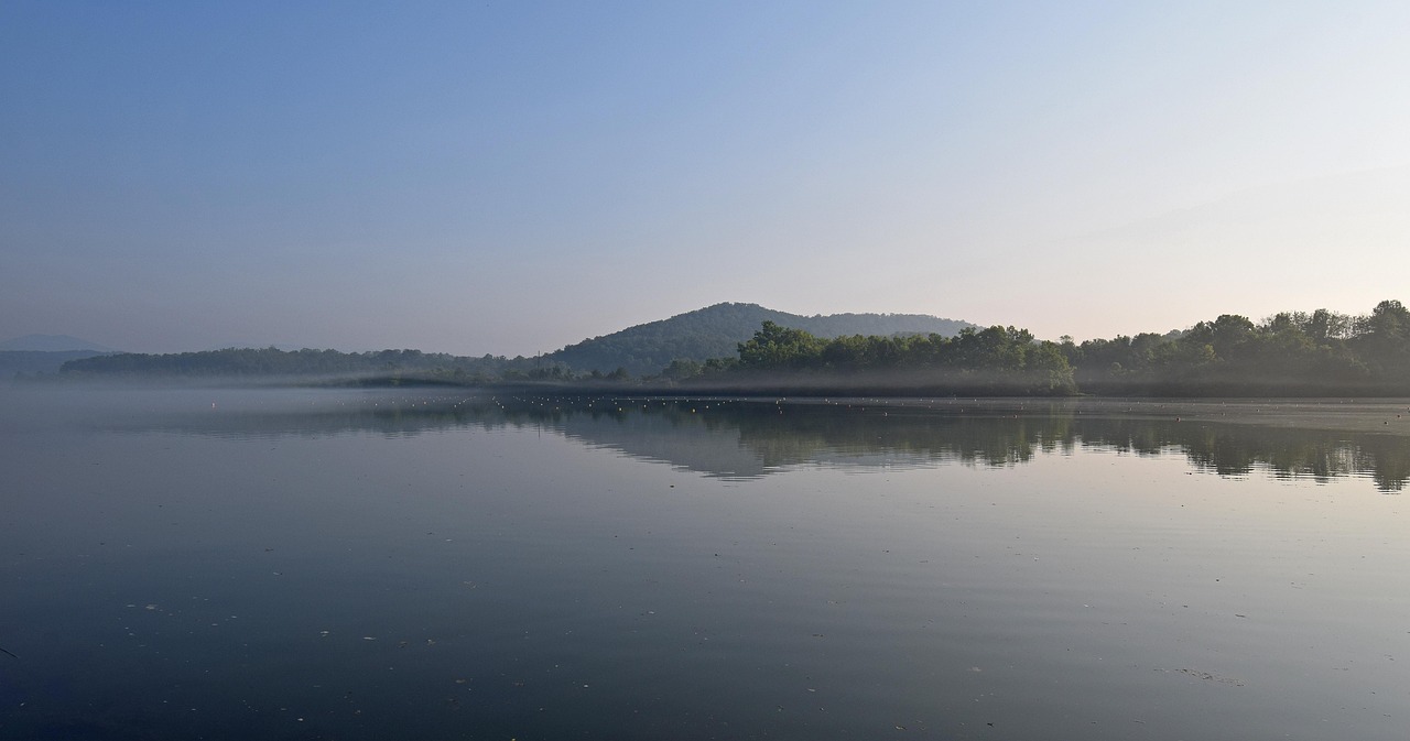 Melton lake on foggy morning, fog, dawn, rowing channels, clinch river, tennessee, smoky mountains, nature, landscape, water, serene, summer, blue river, blue morning