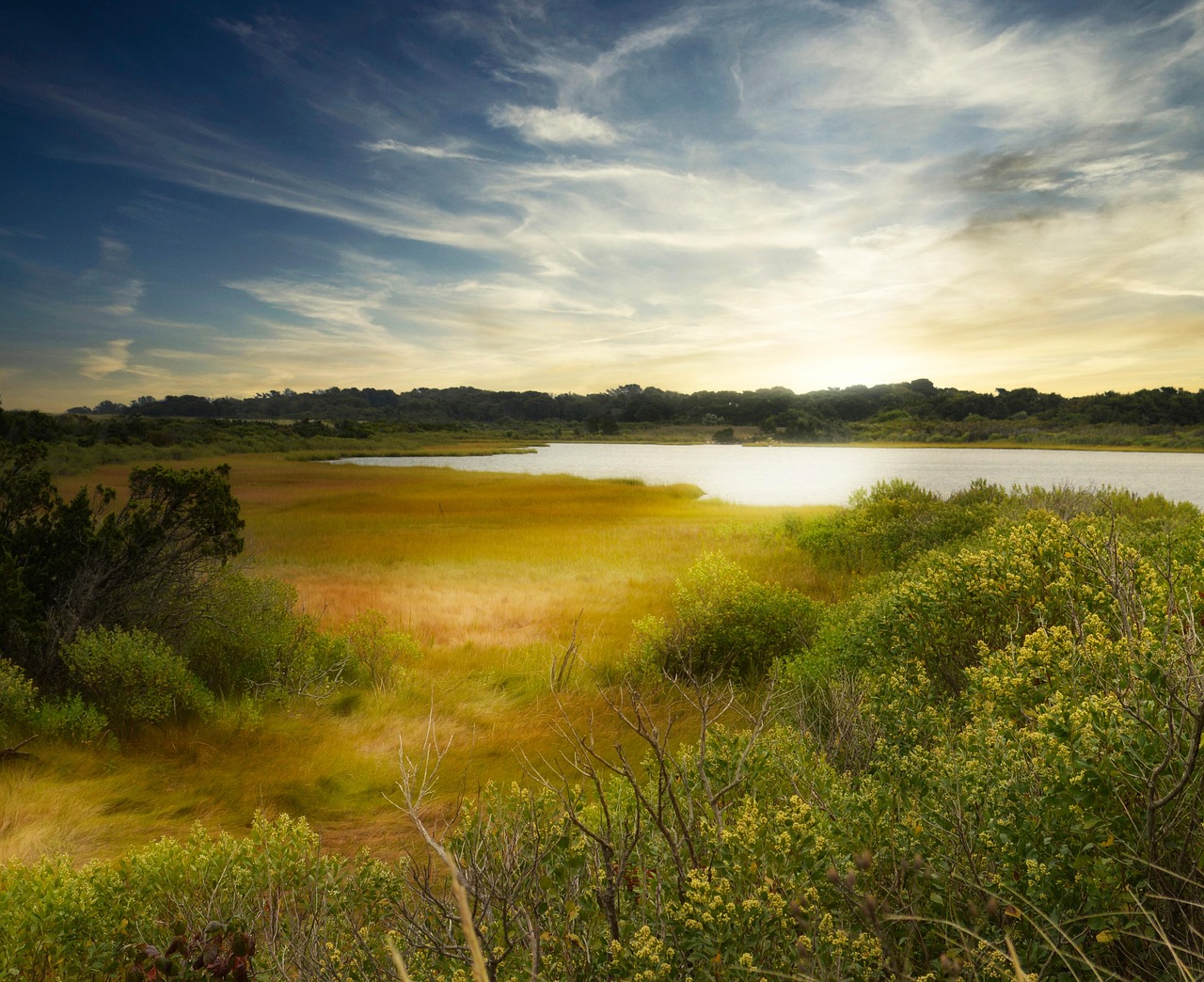 Massachusetts, scenic, wild, landscape, autumn, sunrise, edgartown, nature, cow bay, marthas vineyard