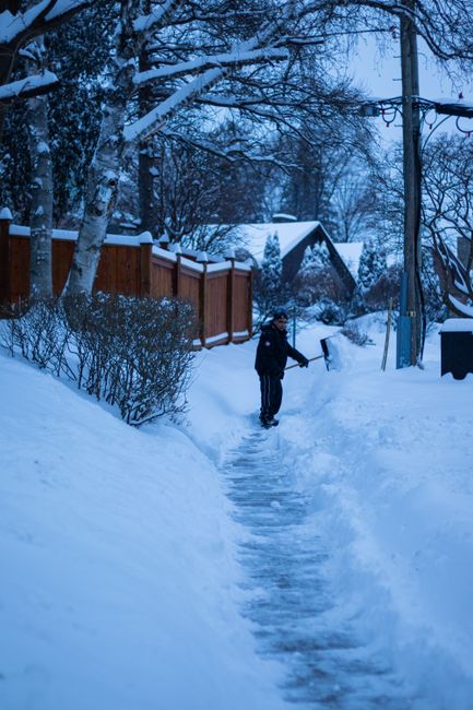 Person shoveling snow on a residential sidewalk on a winter morning