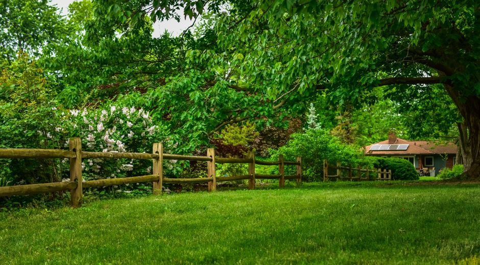 Lush garden with a wooden fence, vibrant plants, and a cozy house in the countryside.