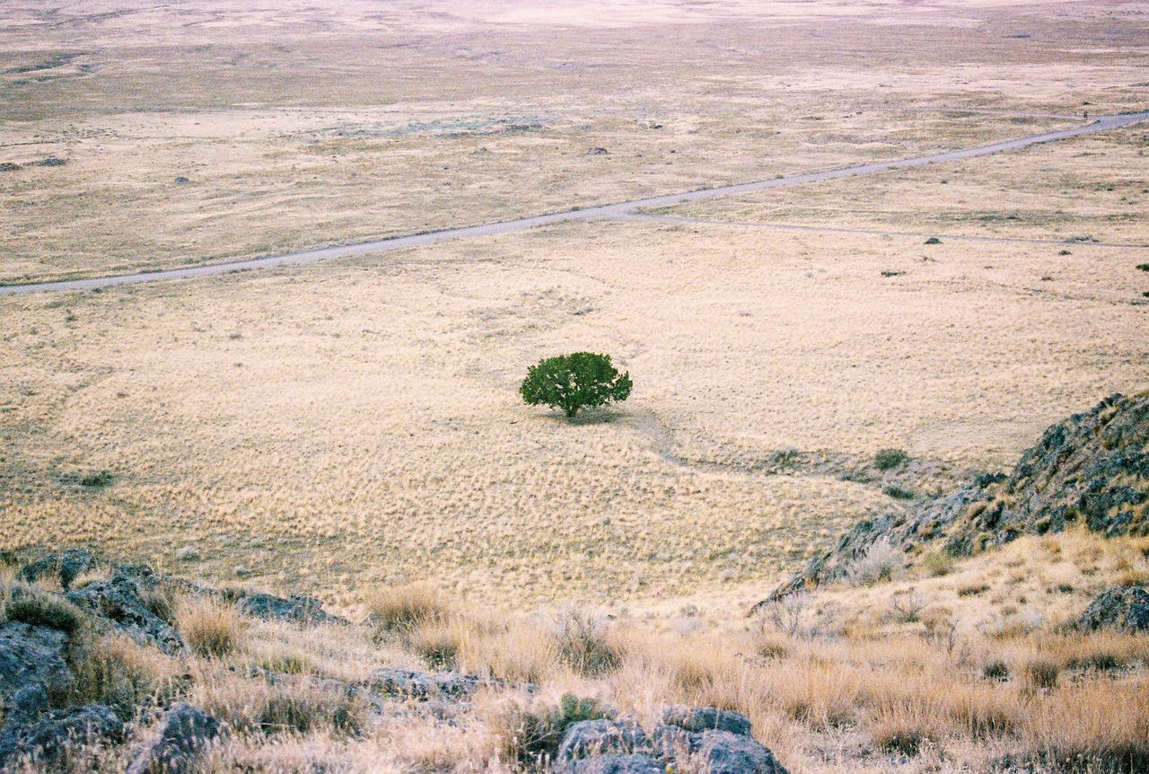Desert, arid land, landscape, drought, countryside, nature, utah, usa, desert, drought, drought, drought, drought, drought
