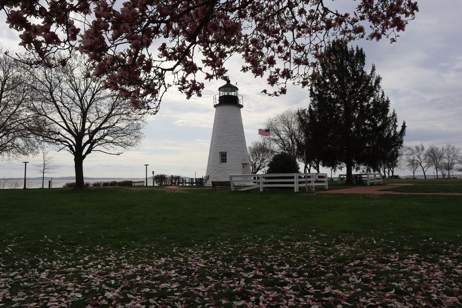 A serene lighthouse surrounded by spring blossoms and a lush green lawn.